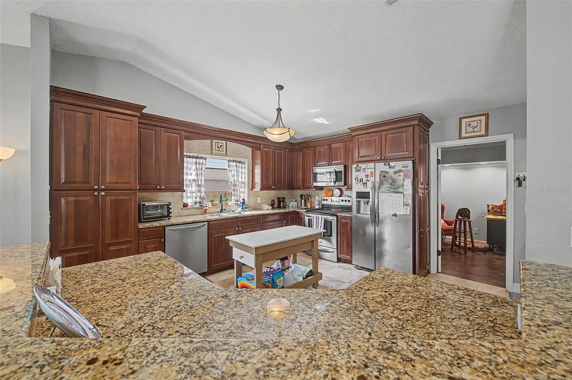 1632 Pintail Court Lutz FL 33549