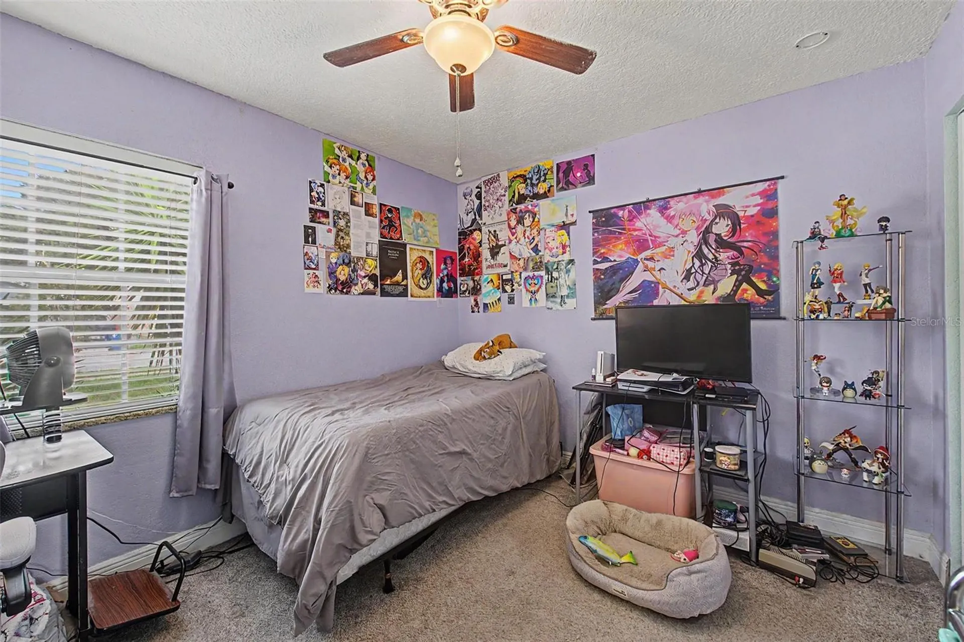 1632 Pintail Court Lutz FL 33549