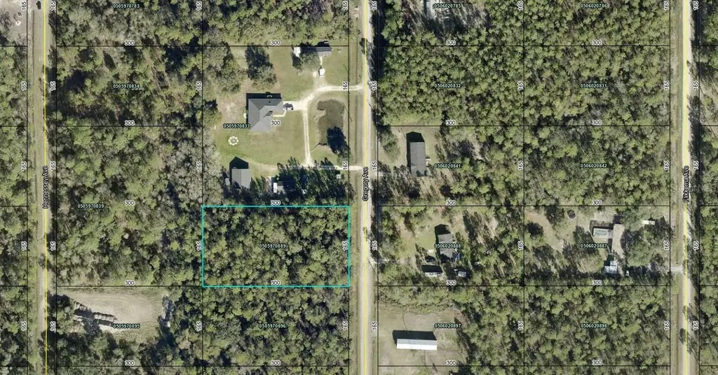 10315 Gregory Avenue Hastings FL 32145
