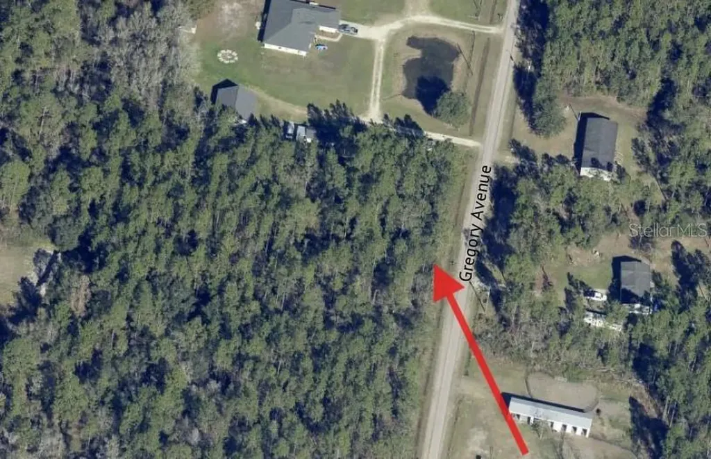 10315 Gregory Avenue Hastings FL 32145