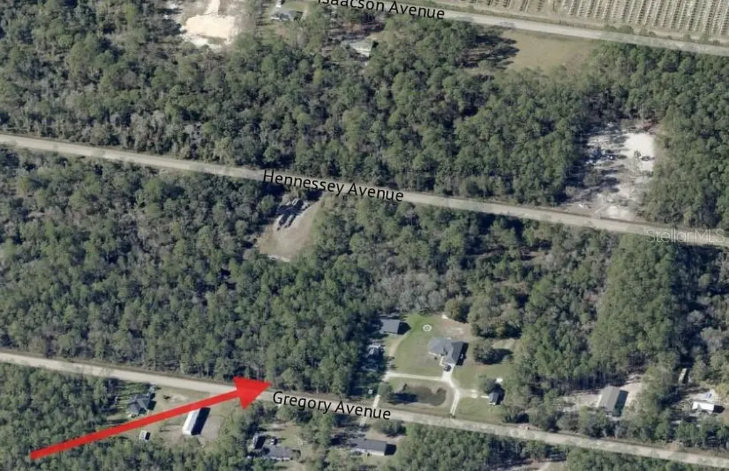 10315 Gregory Avenue Hastings FL 32145