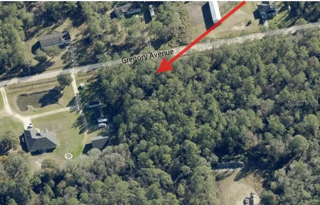 10315 Gregory Avenue Hastings FL 32145
