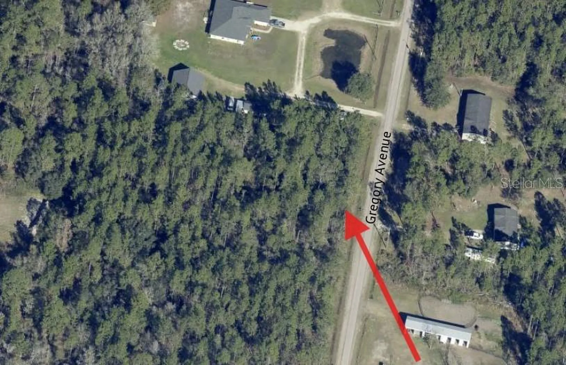 10315 Gregory Avenue Hastings FL 32145