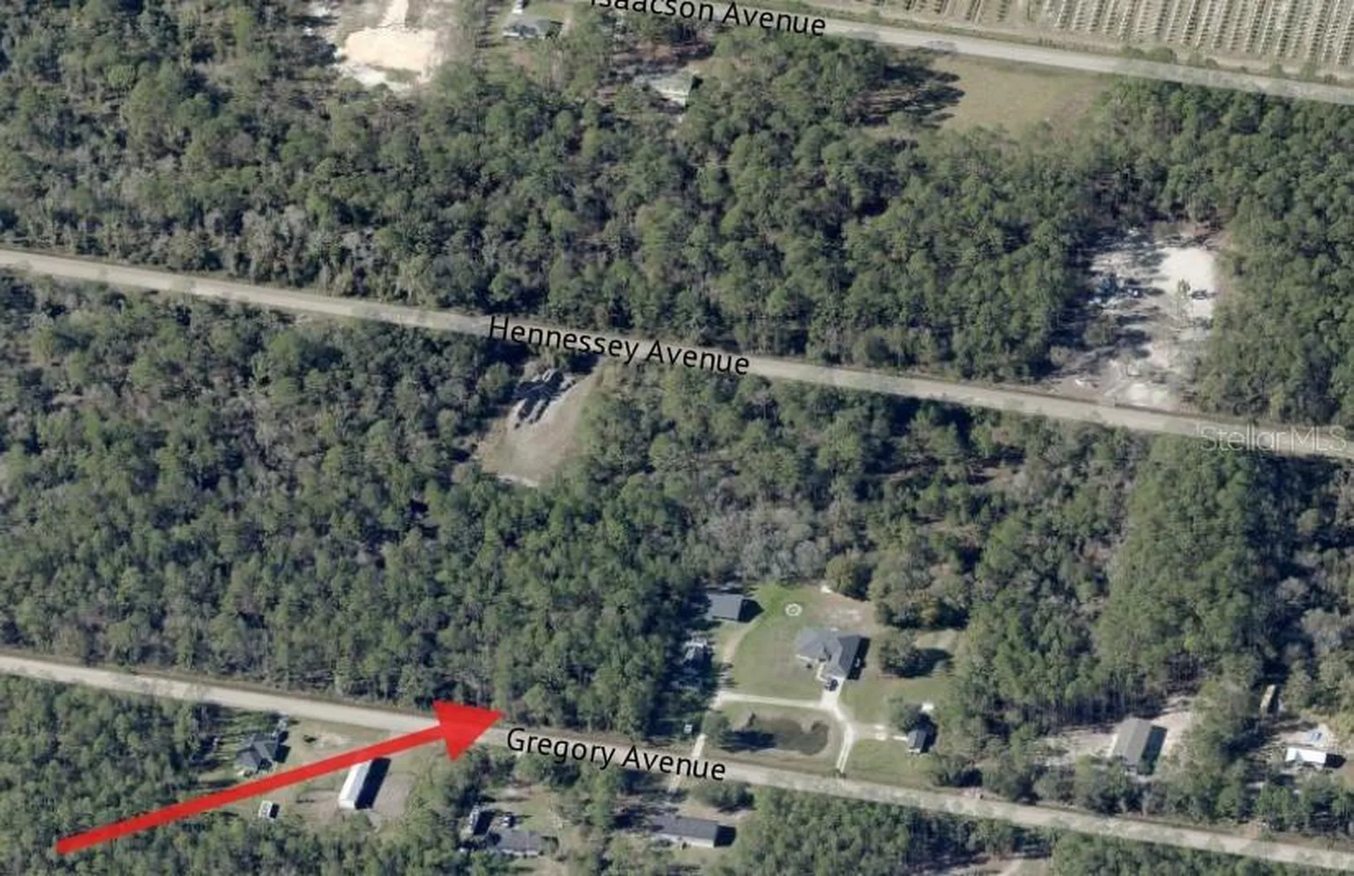 10315 Gregory Avenue Hastings FL 32145