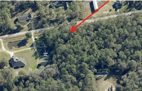 10315 Gregory Avenue Hastings FL 32145