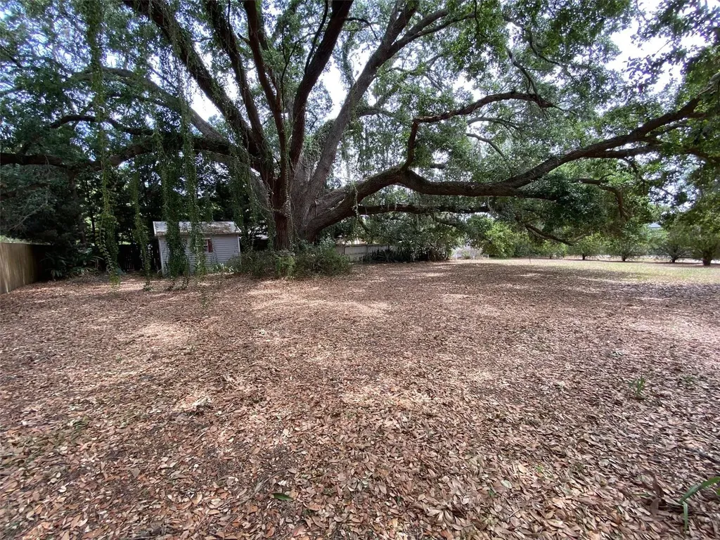 13957 County Road 109d Lady Lake FL 32159