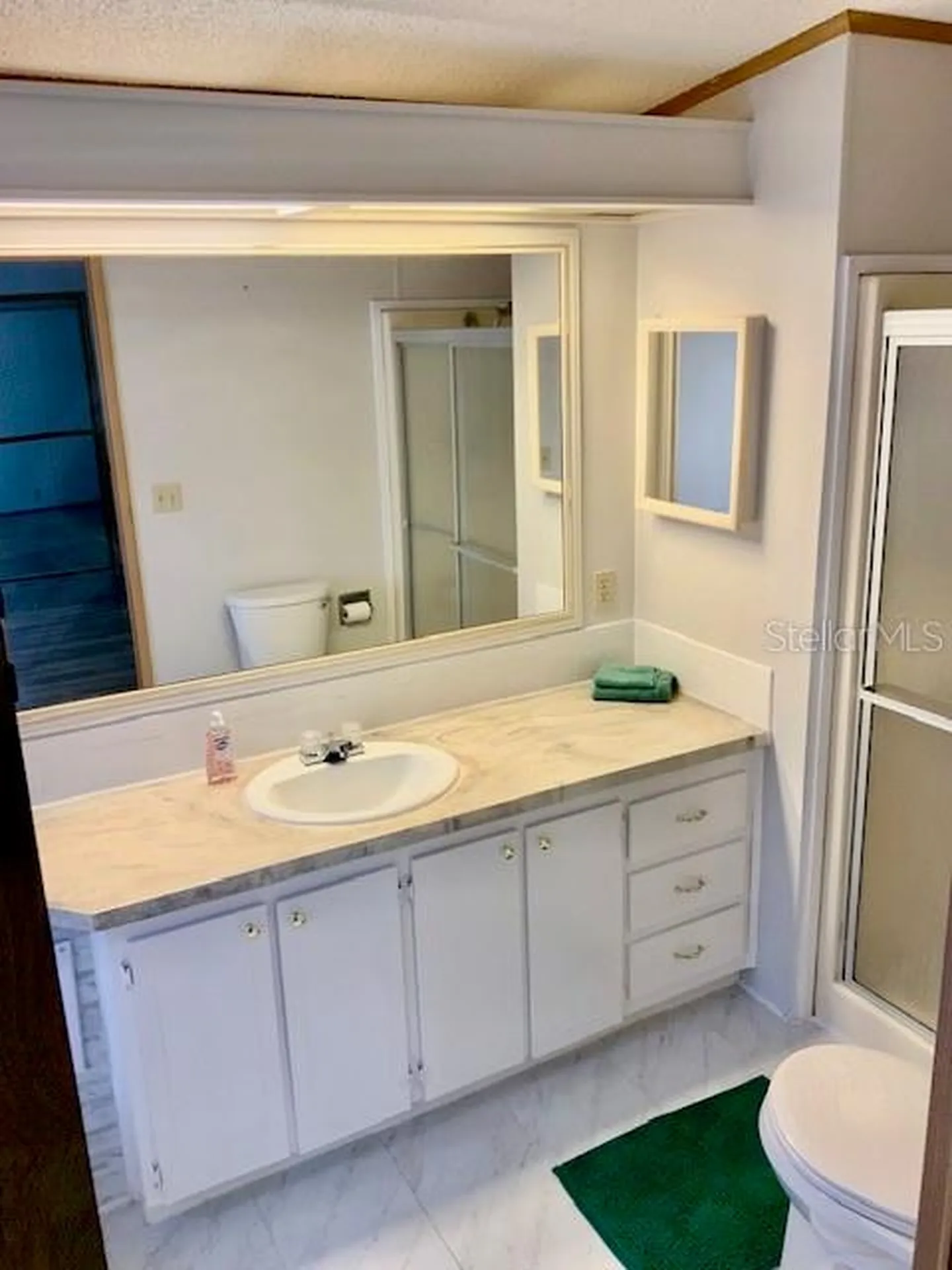13957 County Road 109d Lady Lake FL 32159