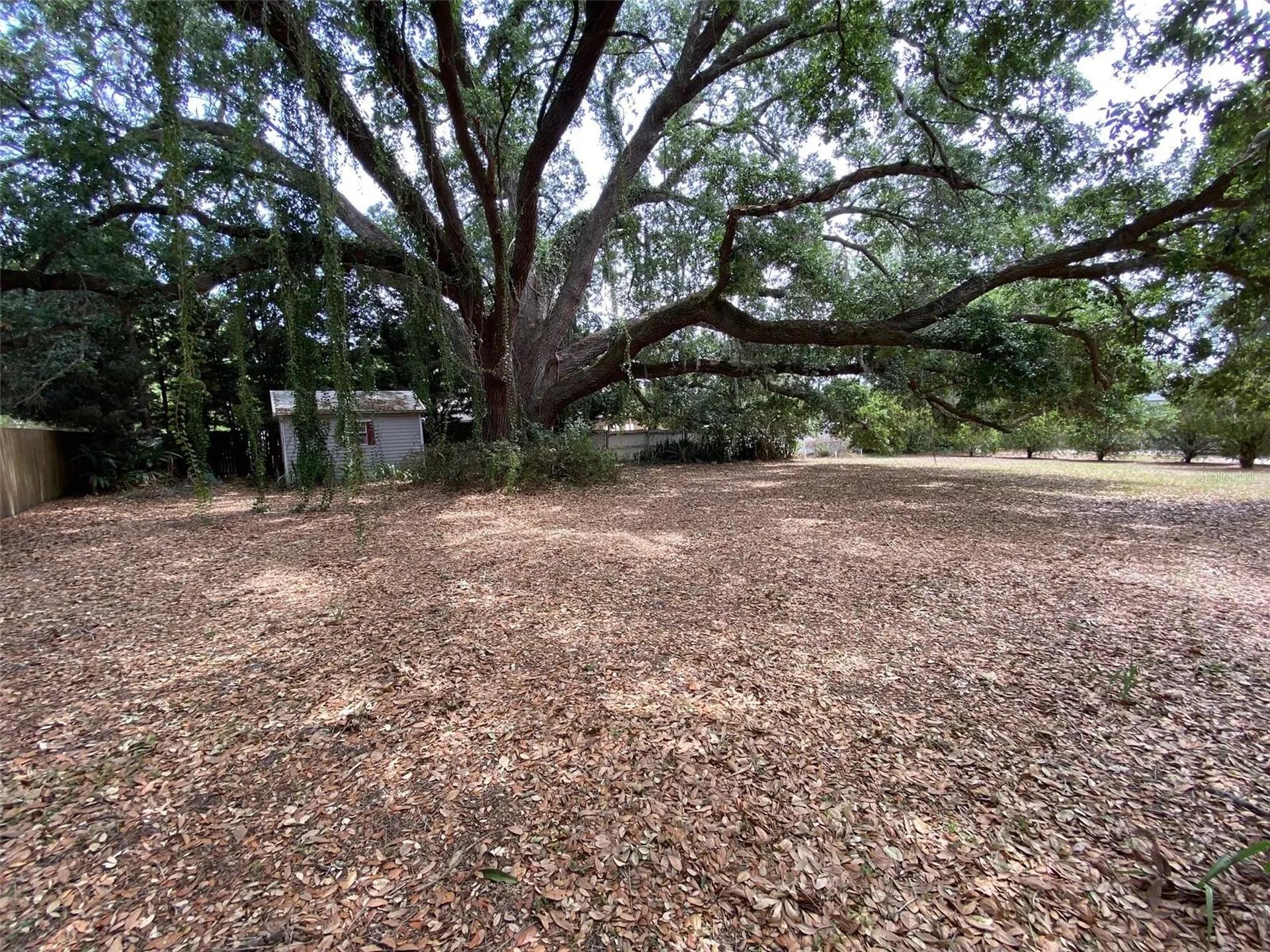 13957 County Road 109d Lady Lake FL 32159