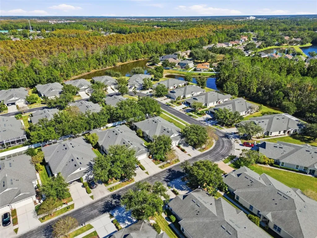 3343 Chapel Creek Circle Wesley Chapel FL 33544