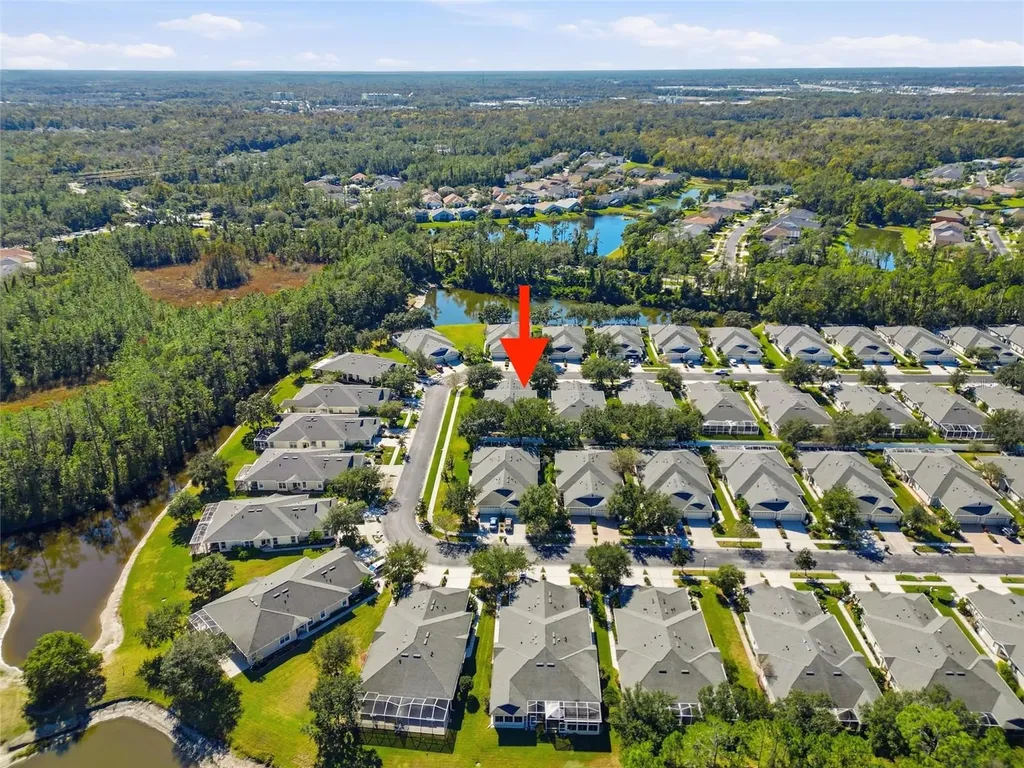 3343 Chapel Creek Circle Wesley Chapel FL 33544