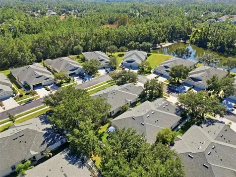 3343 Chapel Creek Circle Wesley Chapel FL 33544