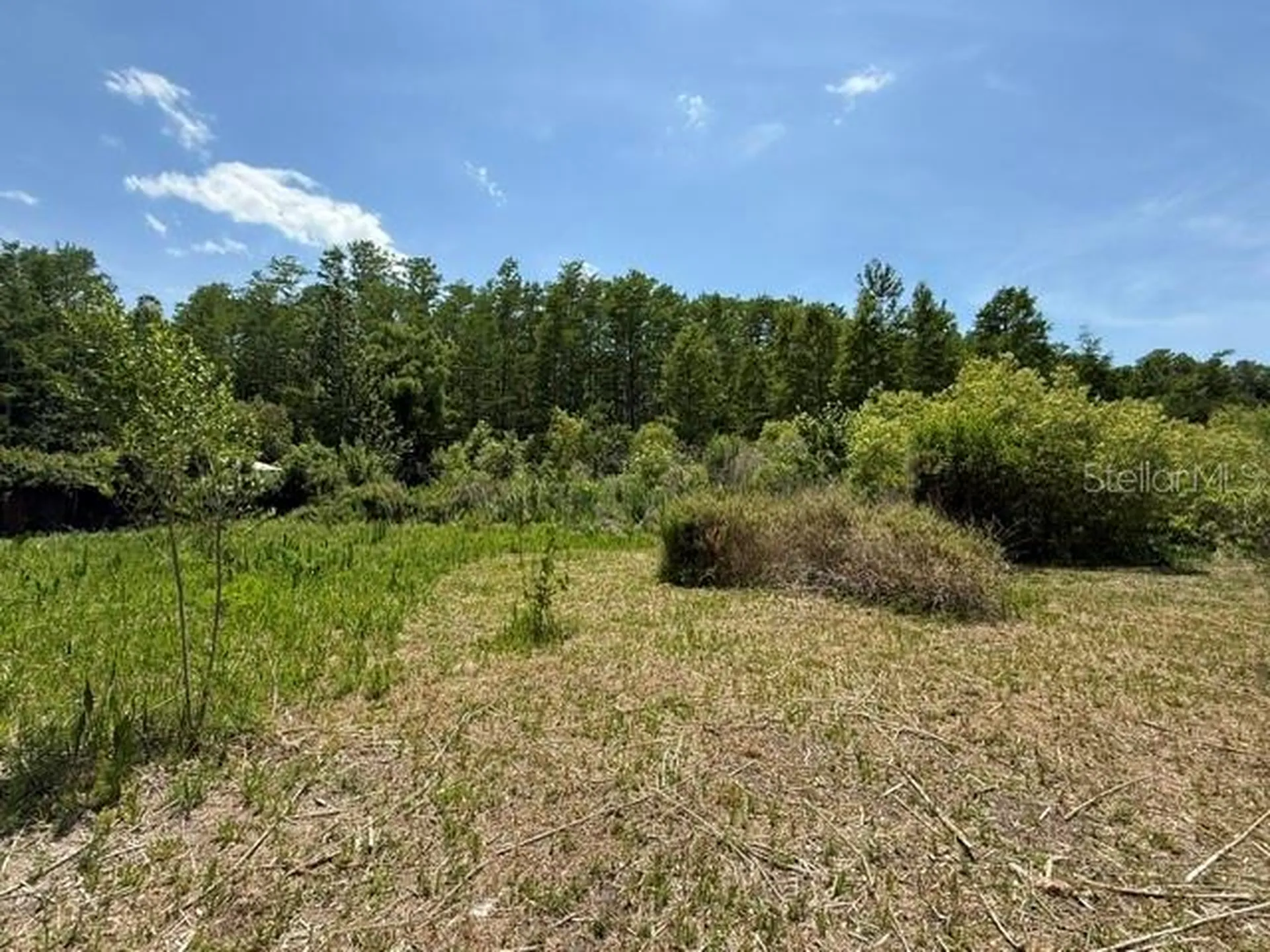 17889 Thomas Boulevard Hudson FL 34667