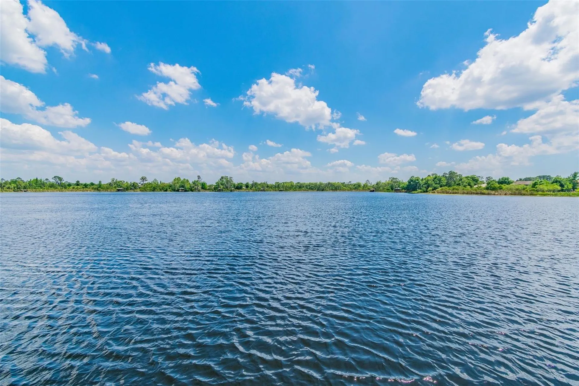 21753 Garden Walk Loop Land O Lakes FL 34637