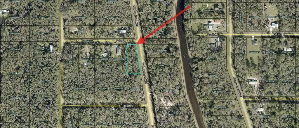 4815 Faith Street Hastings FL 32145