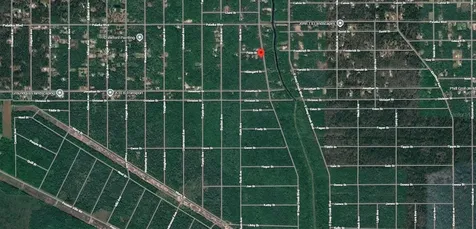 4815 Faith Street Hastings FL 32145