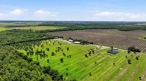 6204 Juel Gill Road Myakka City FL 34251