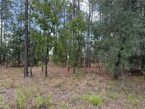NW Buena Vista Road Dunnellon FL 34431