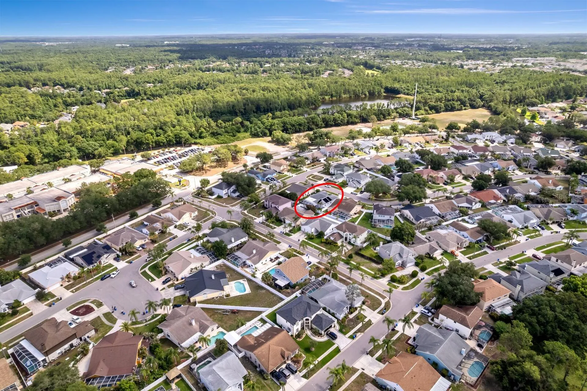 11426 Zenith Circle Tampa FL 33635