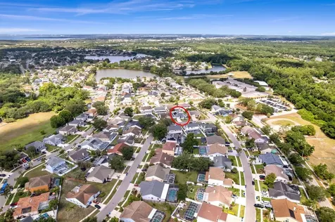11426 Zenith Circle Tampa FL 33635