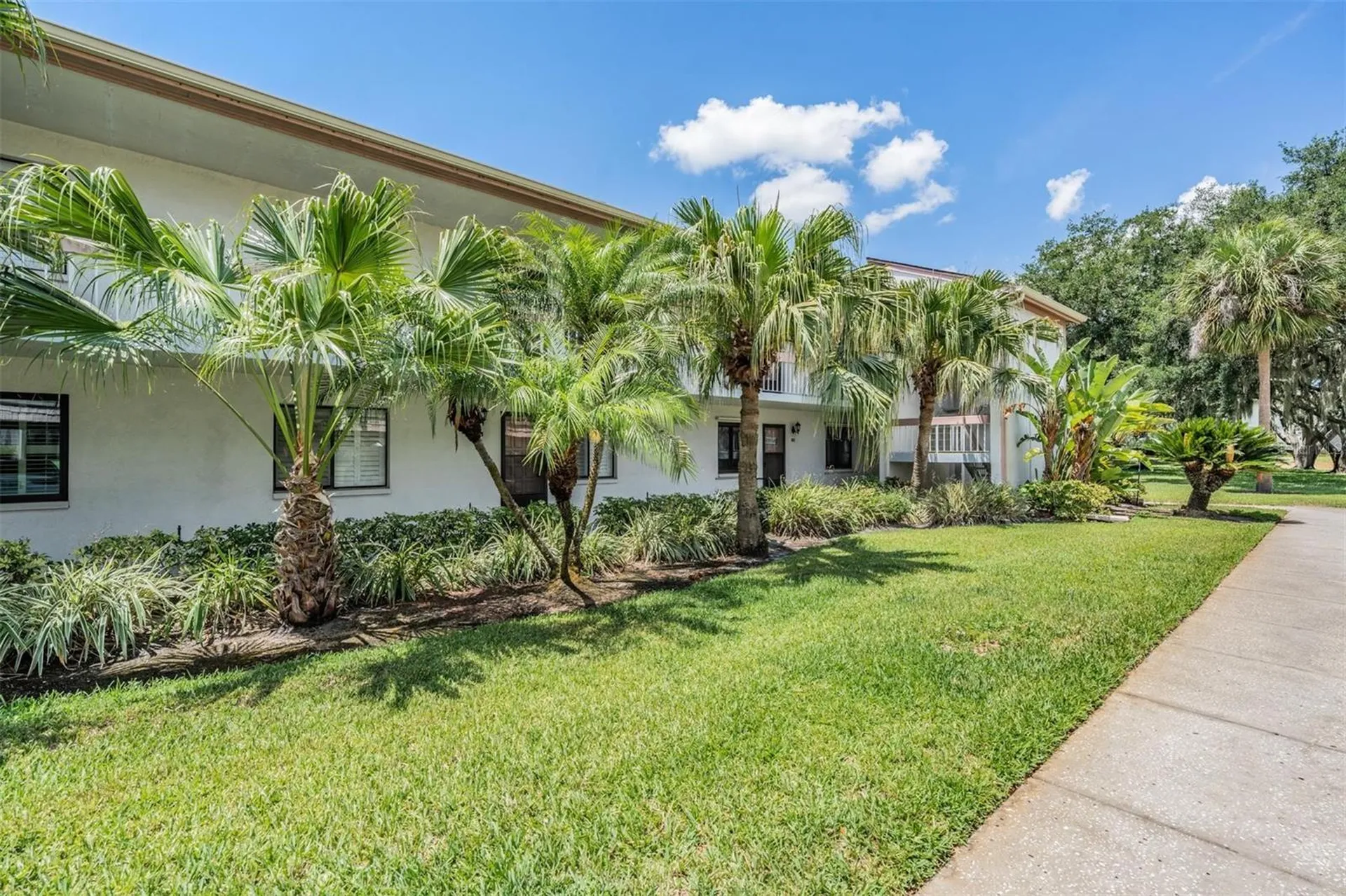 112 Lakeview Place Oldsmar FL 34677