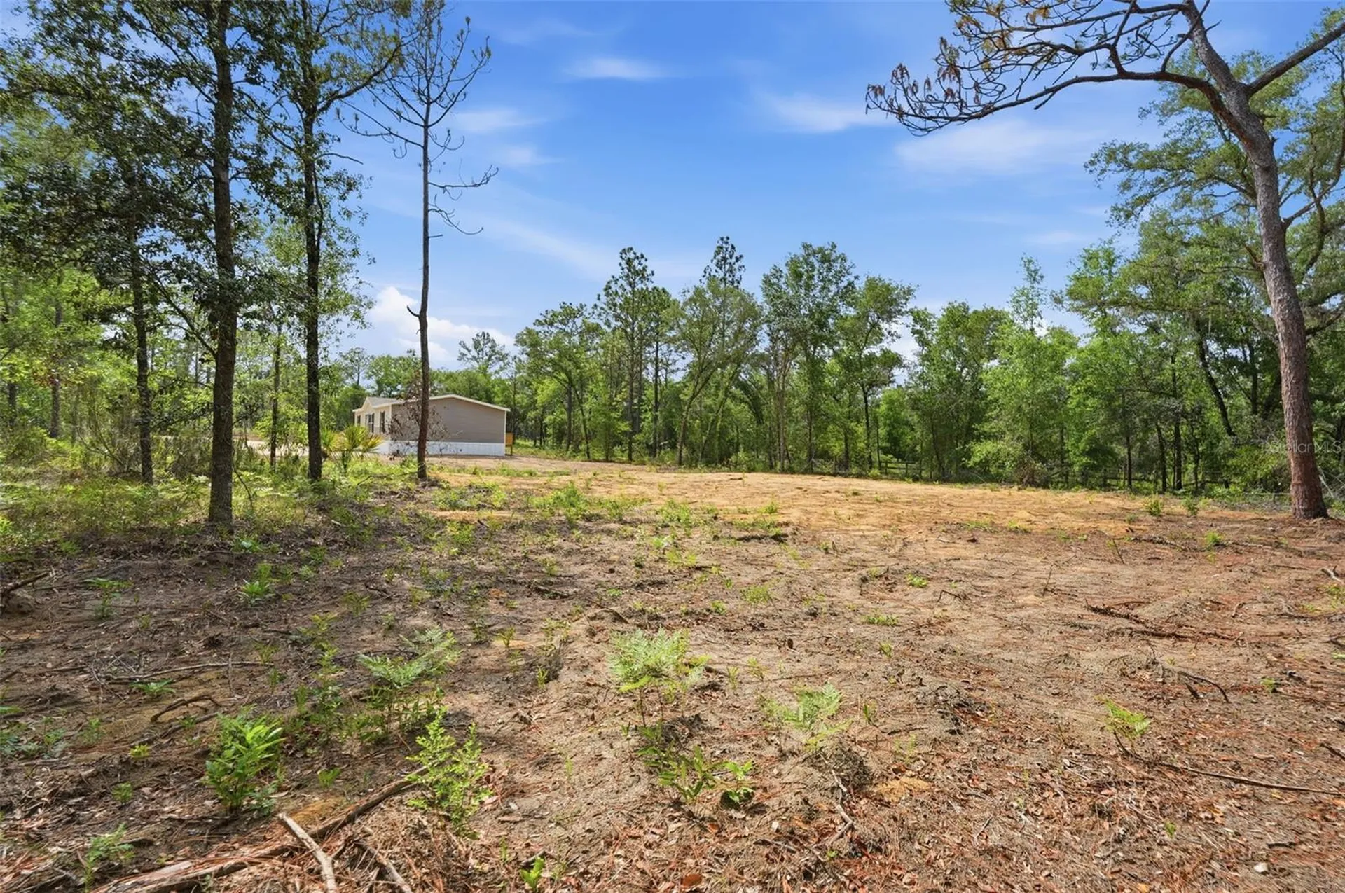 12671 NE 16th Street Williston FL 32696