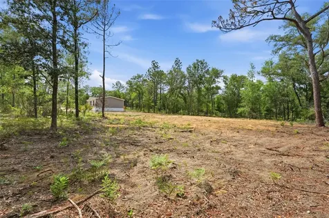 12671 NE 16th Street Williston FL 32696