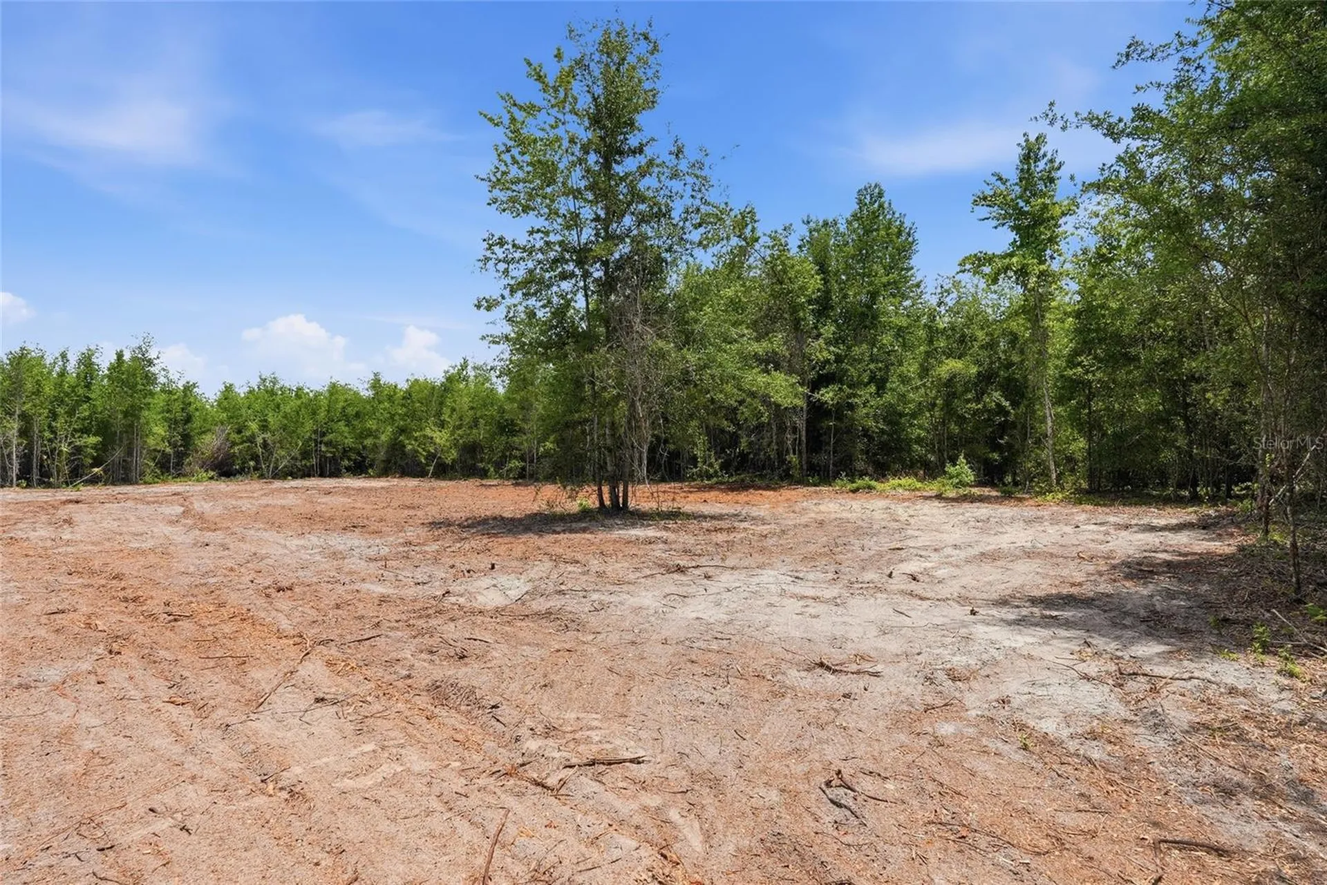 SW 188th Street Archer FL 32618
