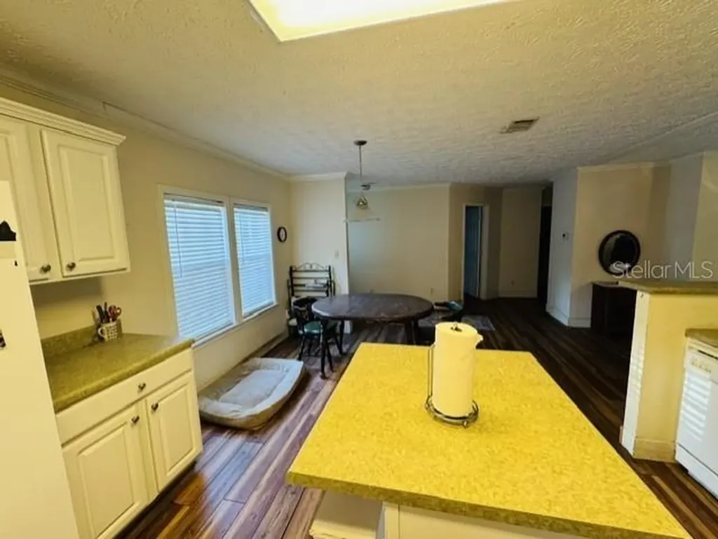 11817 SW 58th Street Webster FL 33597