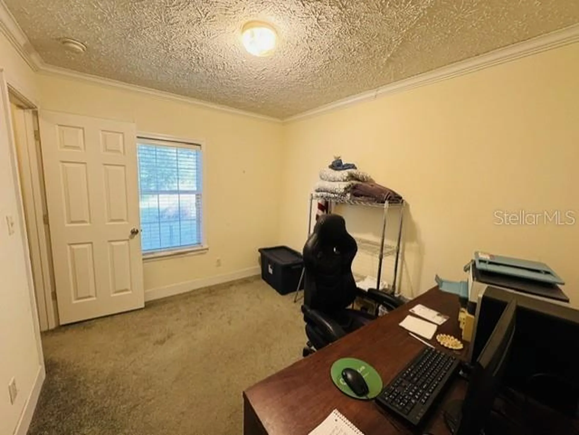 11817 SW 58th Street Webster FL 33597