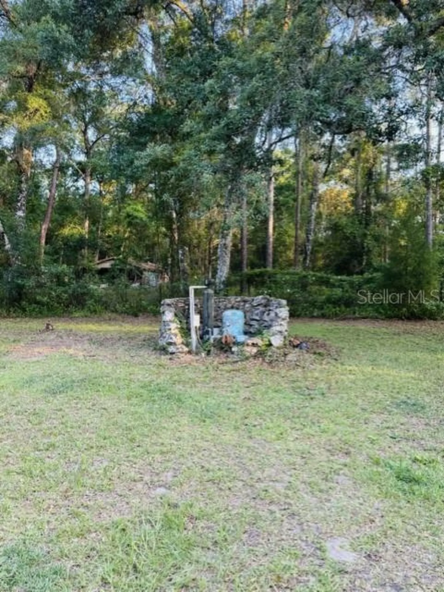 11817 SW 58th Street Webster FL 33597