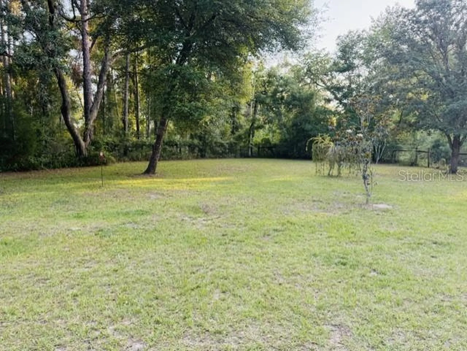11817 SW 58th Street Webster FL 33597
