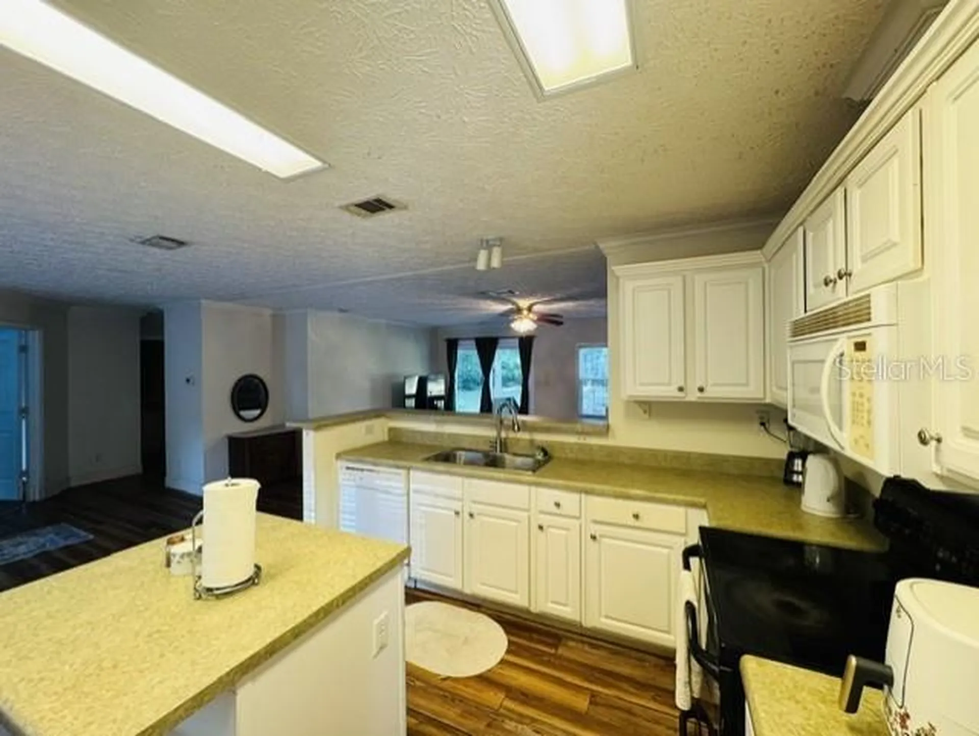 11817 SW 58th Street Webster FL 33597