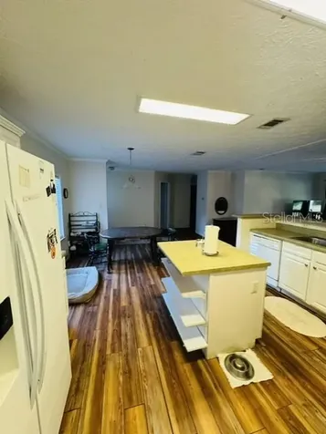 11817 SW 58th Street Webster FL 33597