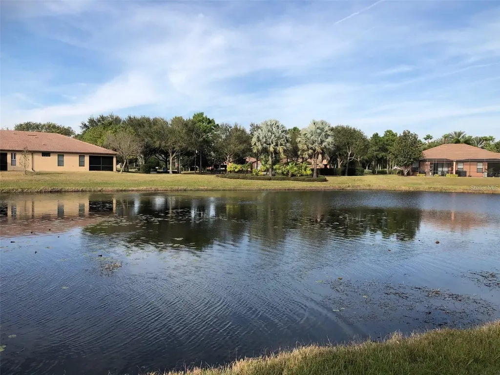 140 Shell Falls Drive Apollo Beach FL 33572