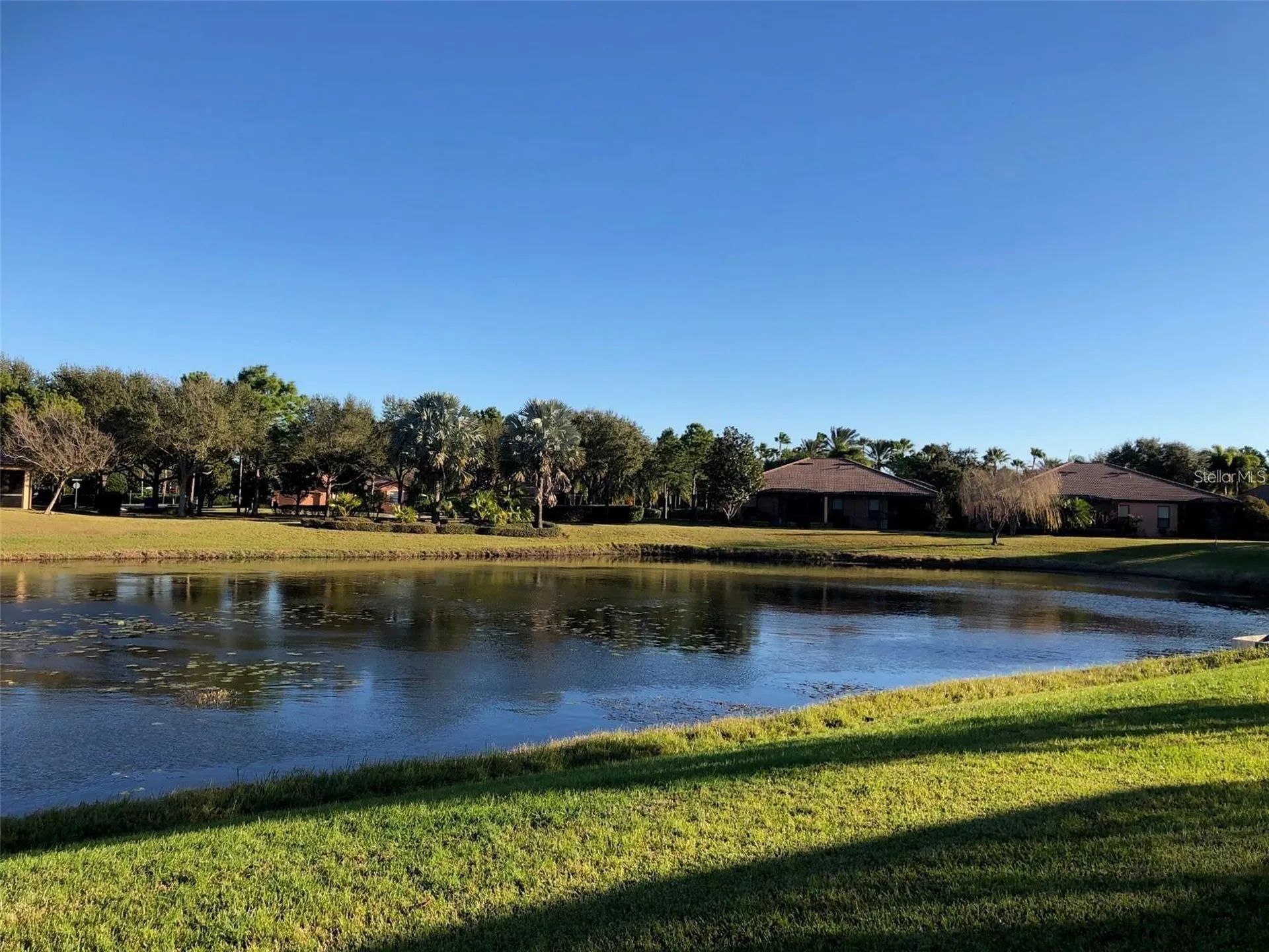 140 Shell Falls Drive Apollo Beach FL 33572
