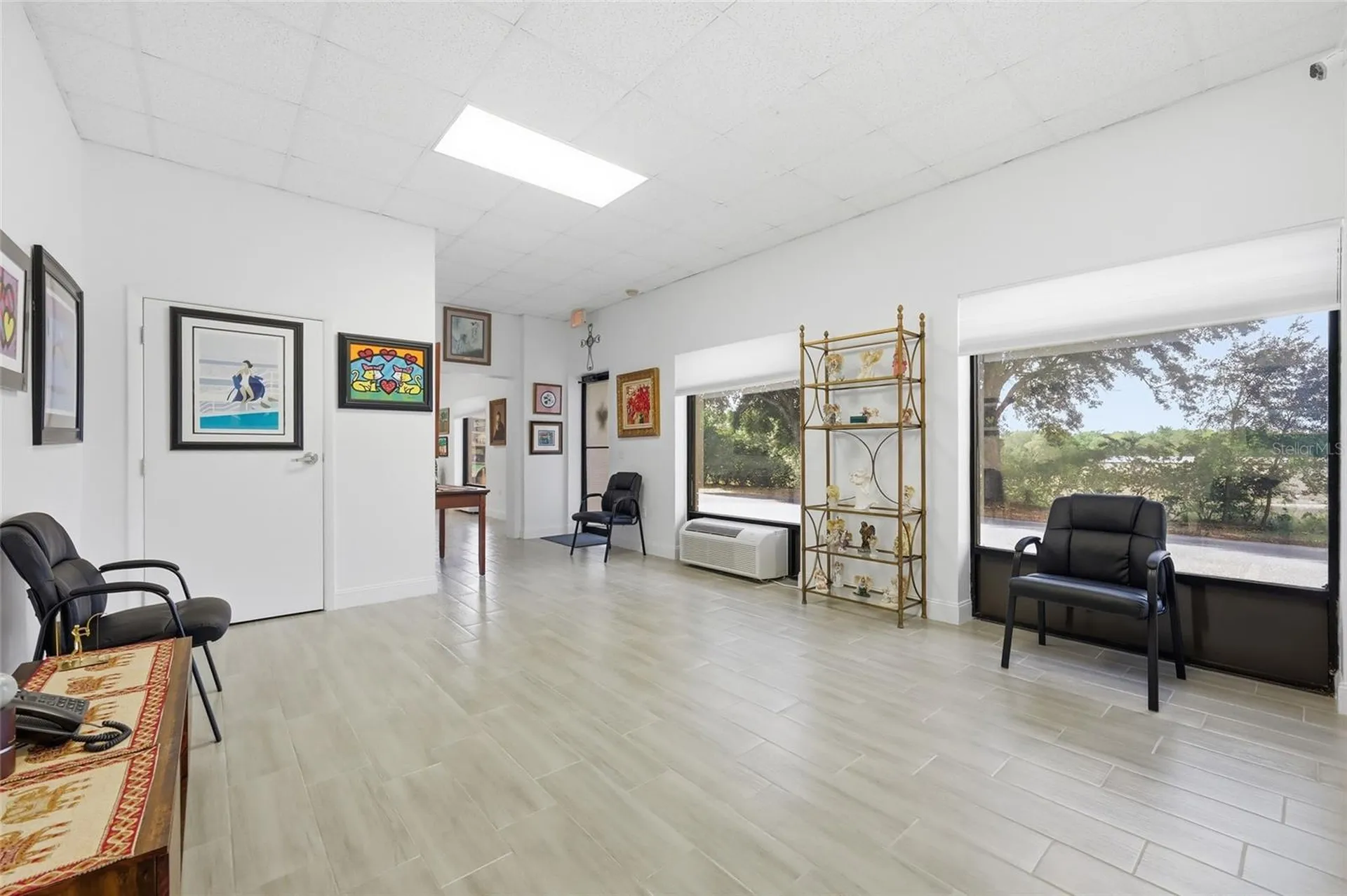 30924 Suneagle Drive Mount Dora FL 32757