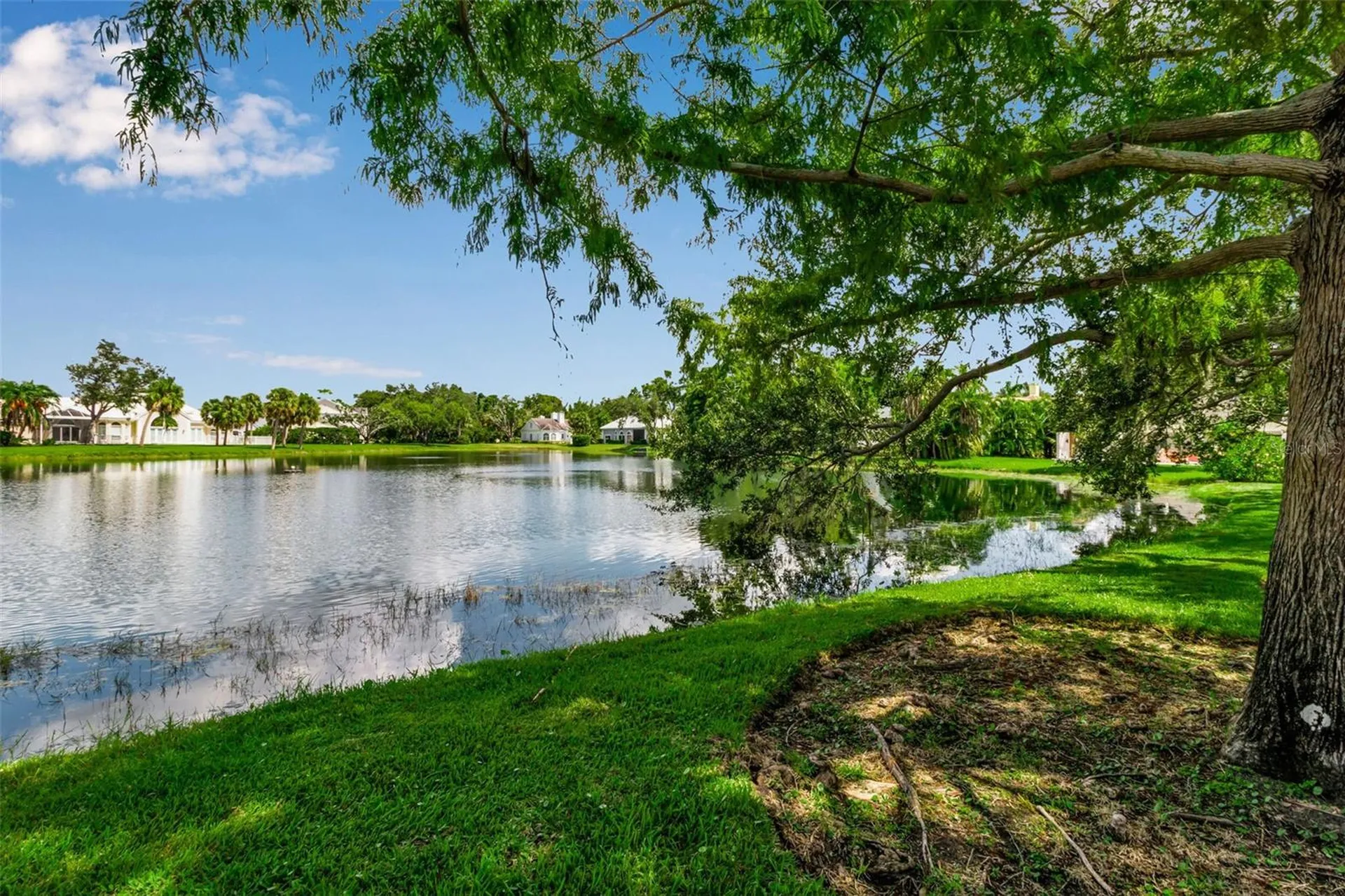 101 Osprey Point Drive Osprey FL 34229