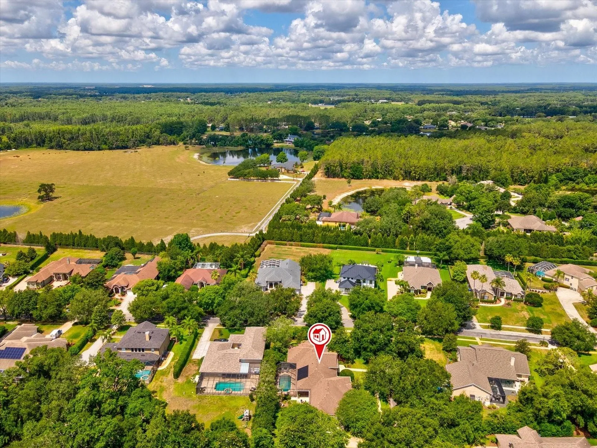19617 Eagle Crest Drive Lutz FL 33549