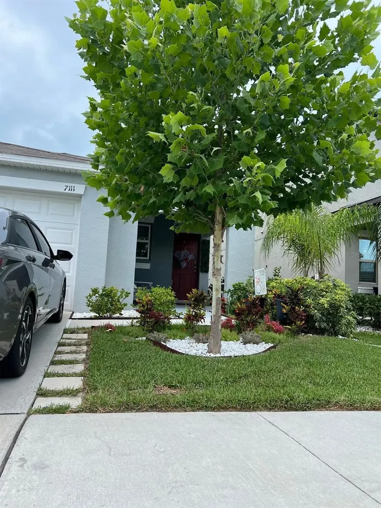 7111 Amelia Cove Court Sun City Center FL 33573