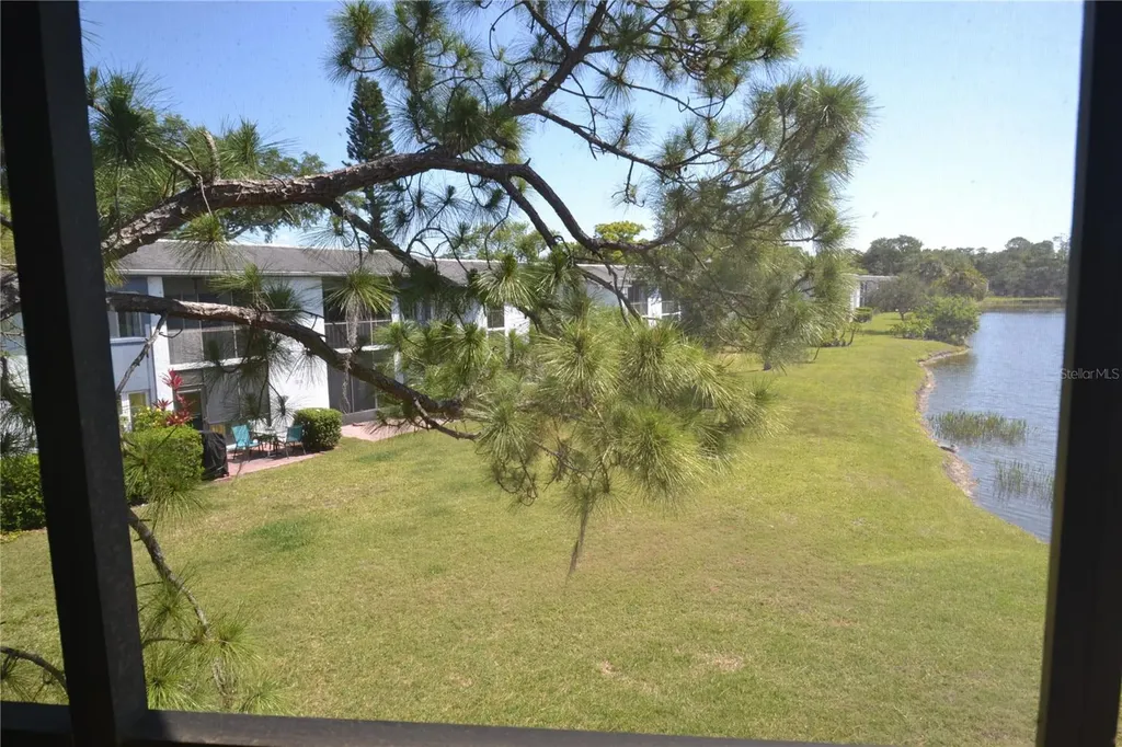 336 Woodlake Wynde Oldsmar FL 34677