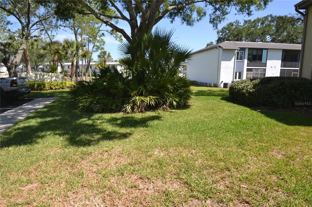 336 Woodlake Wynde Oldsmar FL 34677