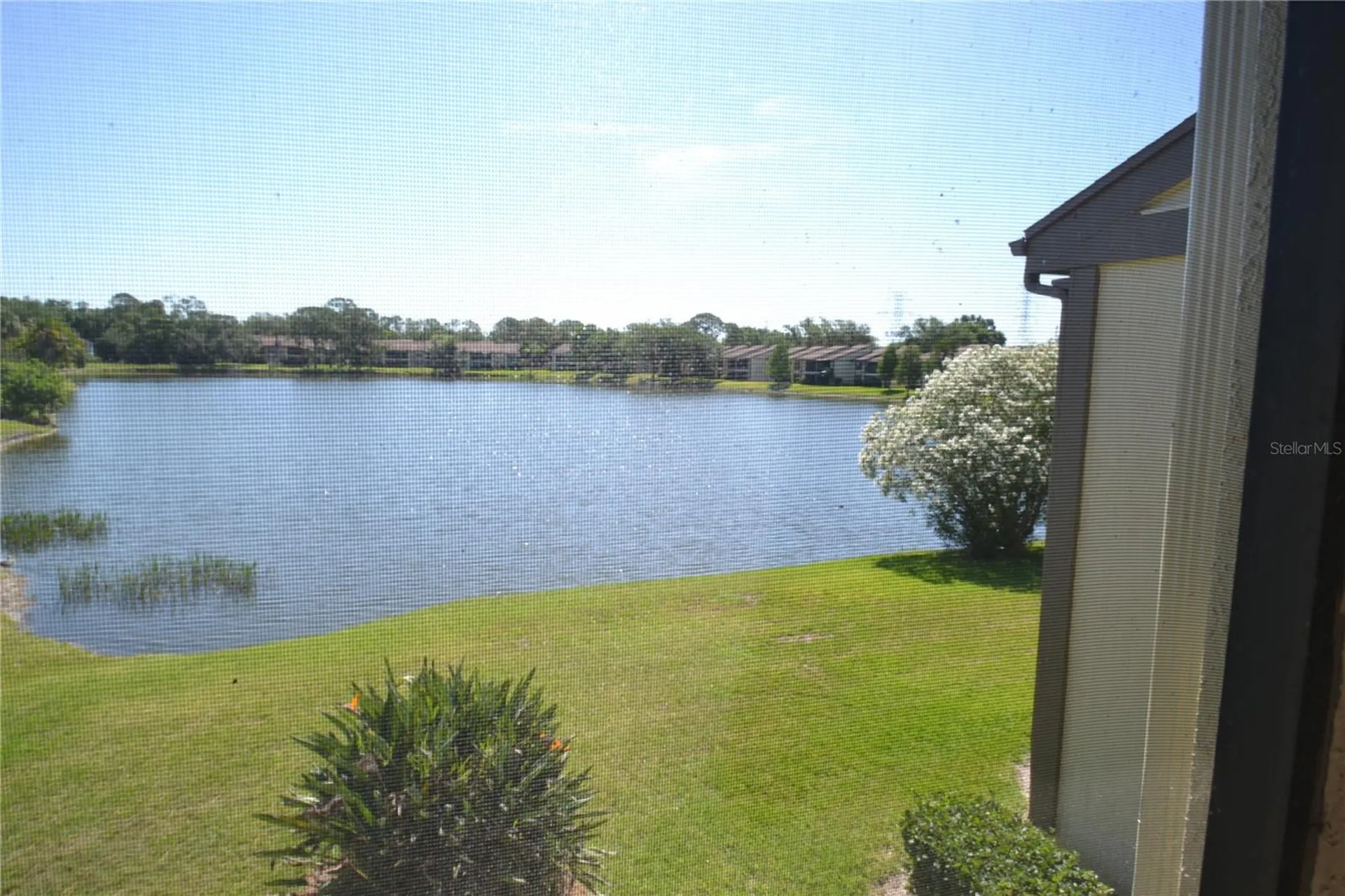 336 Woodlake Wynde Oldsmar FL 34677