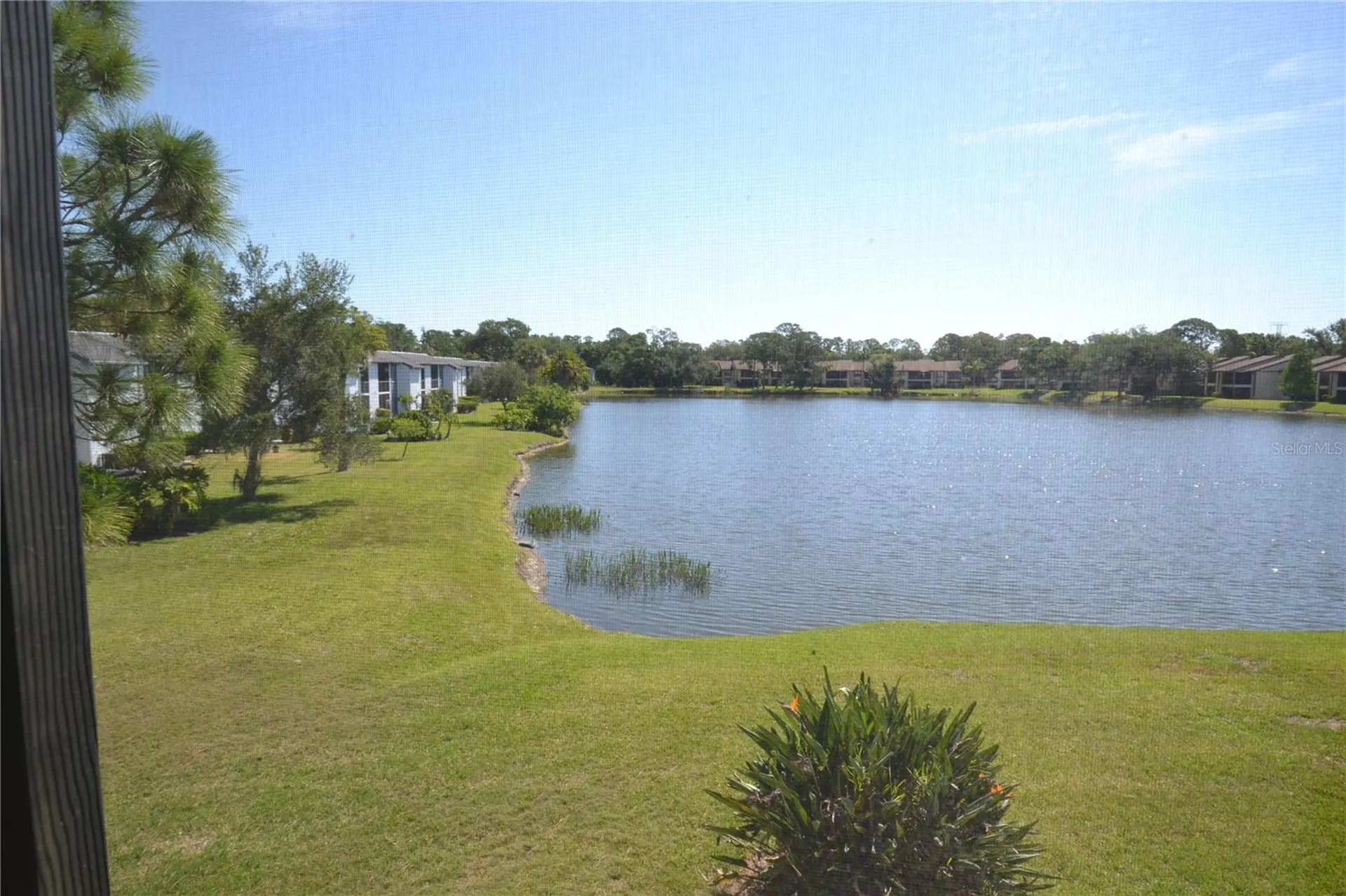 336 Woodlake Wynde Oldsmar FL 34677