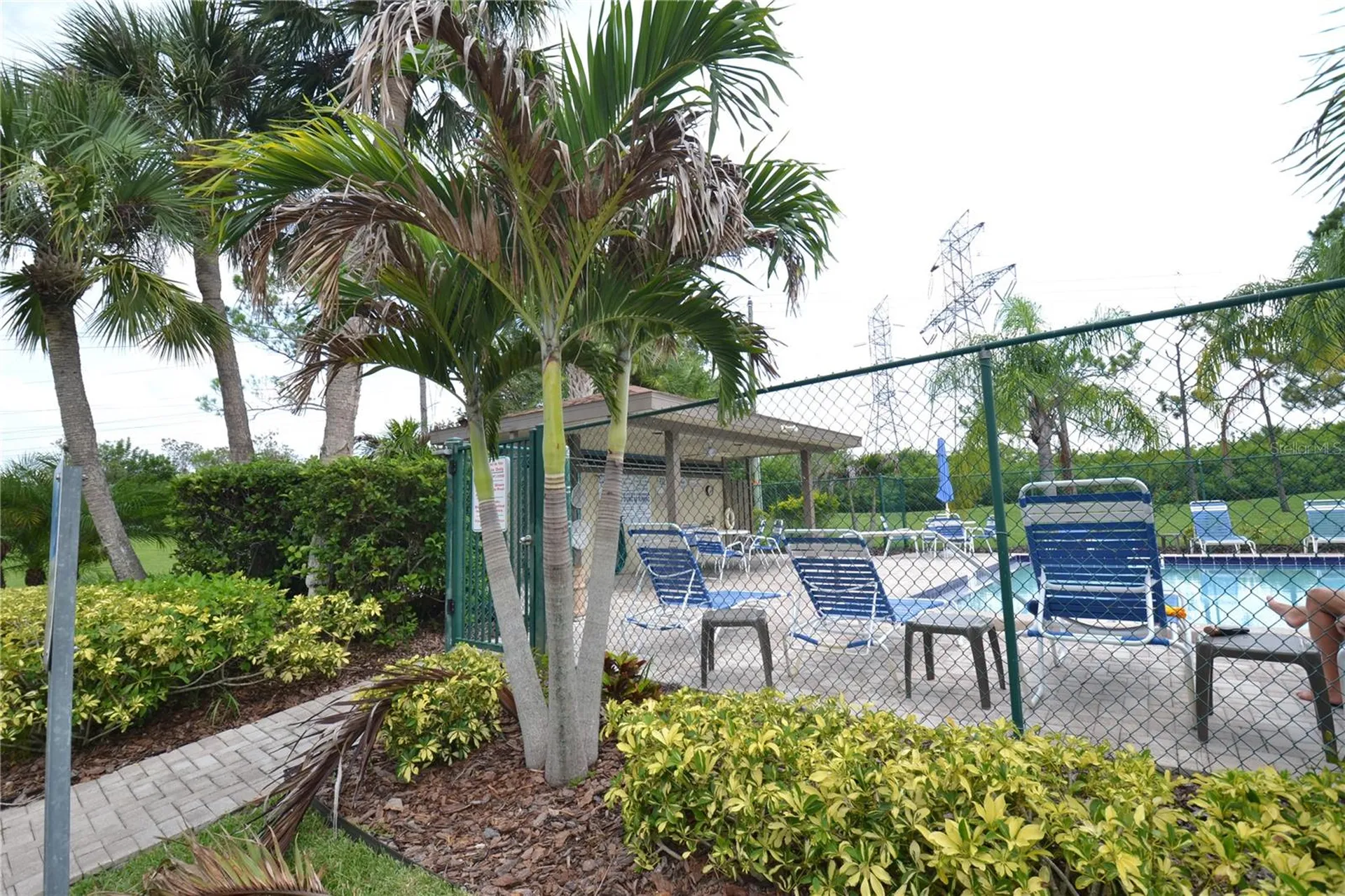 336 Woodlake Wynde Oldsmar FL 34677