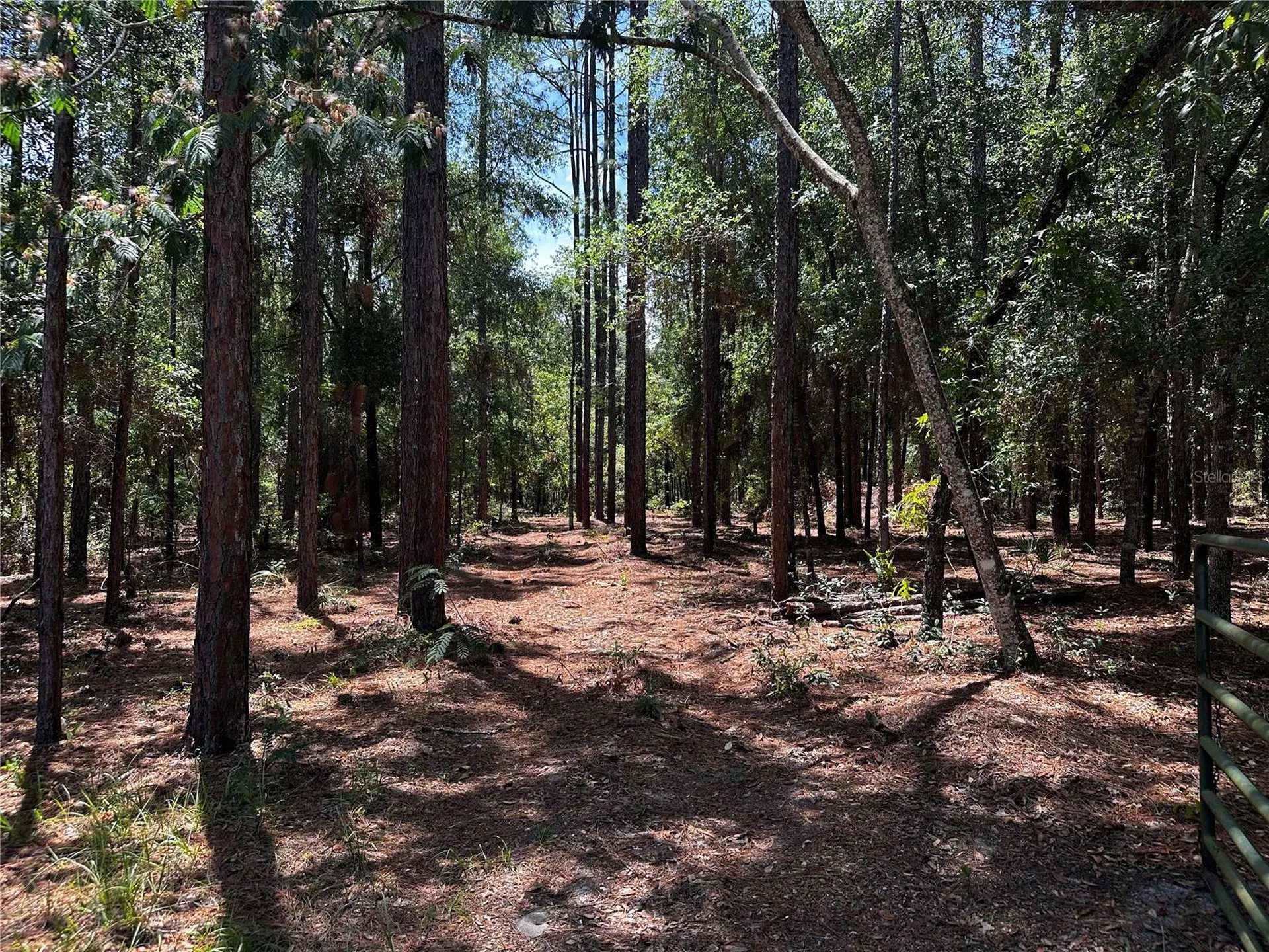 3890 SW 189th Avenue Dunnellon FL 34432