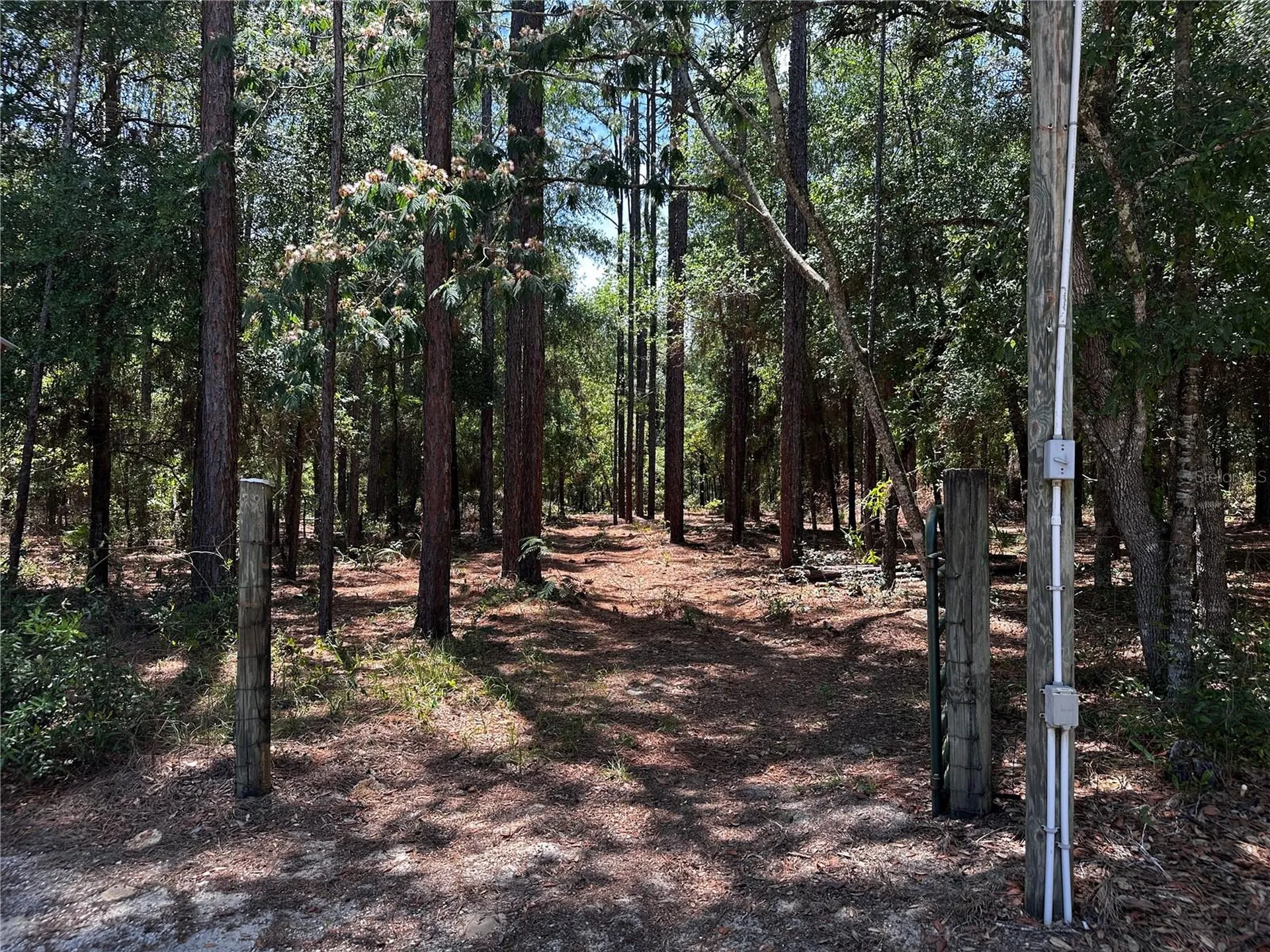 3890 SW 189th Avenue Dunnellon FL 34432