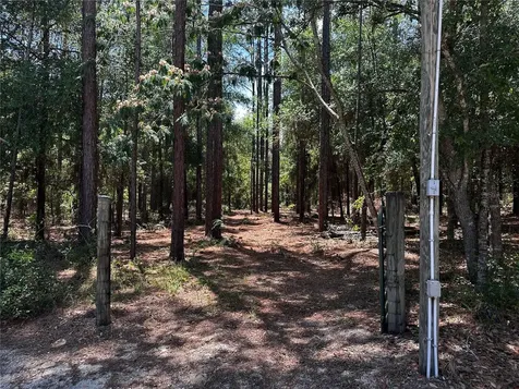 3890 SW 189th Avenue Dunnellon FL 34432