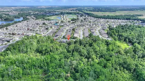 315 Ridge View Drive Davenport FL 33837