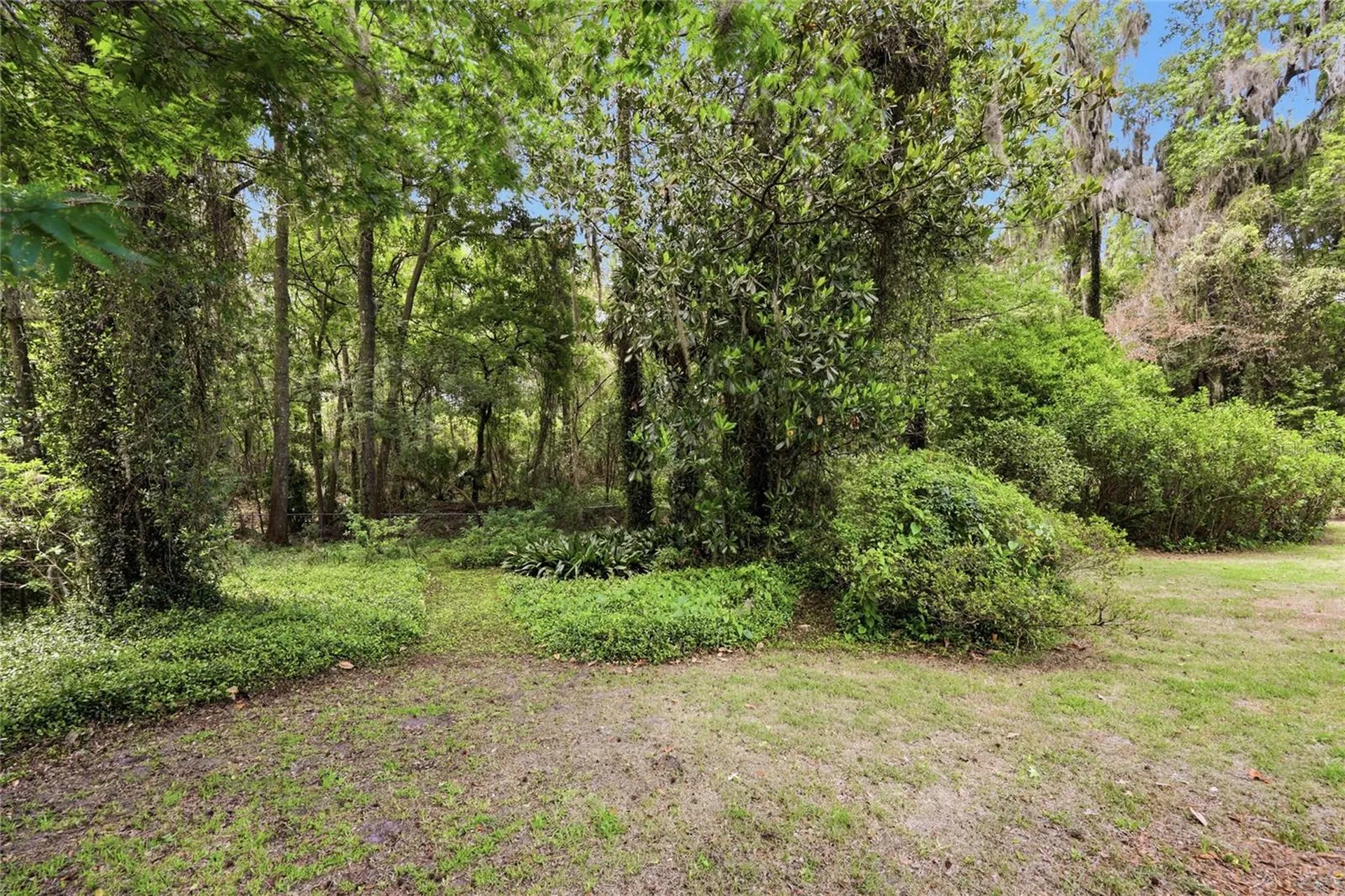 6605 NW 16th Place Gainesville FL 32605
