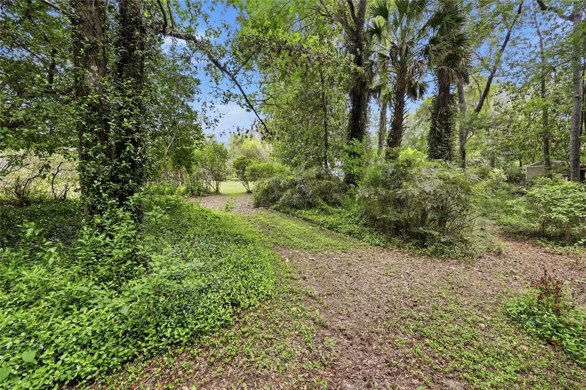 6605 NW 16th Place Gainesville FL 32605